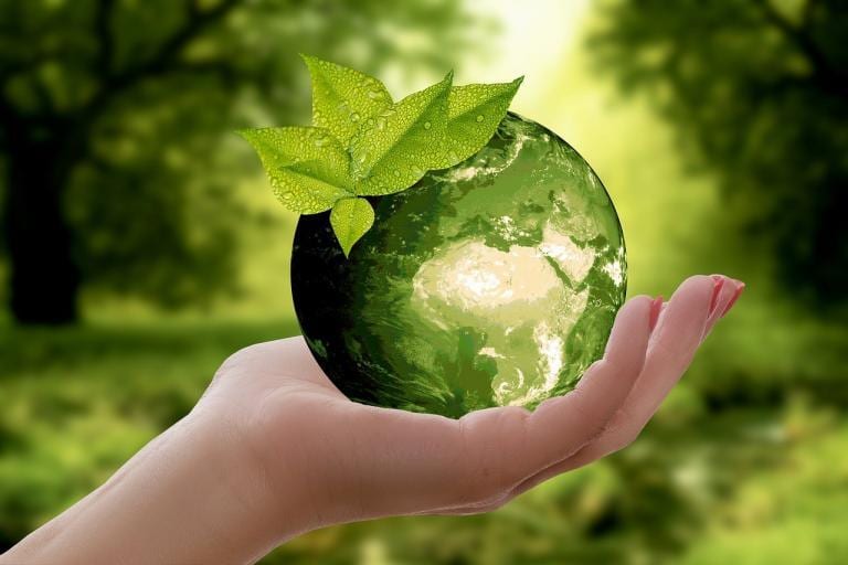 A New Earth Summary + Review By Eckhart Tolle